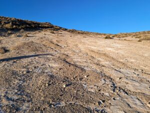 WhatsApp Image 2025-10-17 at 12.25.42 PM