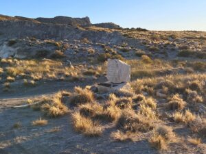 WhatsApp Image 2025-10-17 at 12.25.49 PM